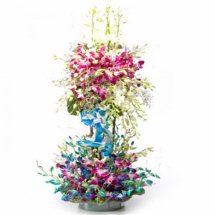 Blue and purple orchids in double basket