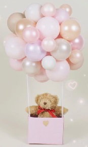 12 Inches Teddy sitting in a box with  20 pink and white balloons tied on sticks
