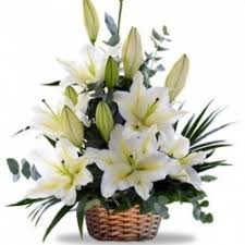White Lilies in basket