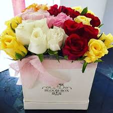 24 coloured roses in a box