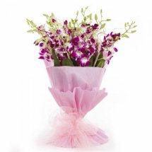 10 Purple Orchids