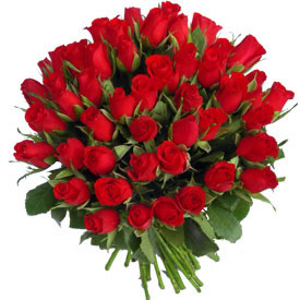 24 Red Roses bouquet