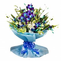 10 Blue Orchids bouquet