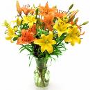 Yellow Orange Liliums Vase