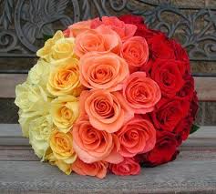 2 dozen ombre roses in a basket