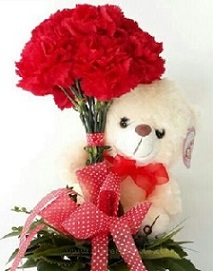 12 Inches Teddy bear holding a bouquet of 10 red carnations with red ribbon