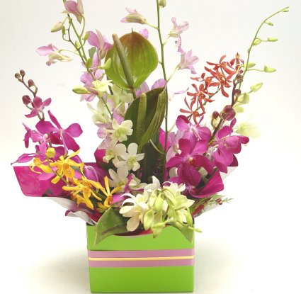 Free Flower Delivery on Flowers To Hyderabad Flowers To Hyderabad India Flowers Delivery India