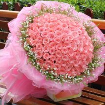 50 Pink Roses bouquet